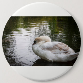 Chapa Redonda De 15 Cm Cisne blanca