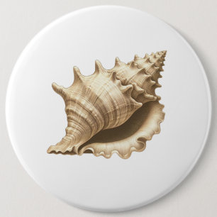 Chapa Redonda De 15 Cm Costero/playa/concha náutica