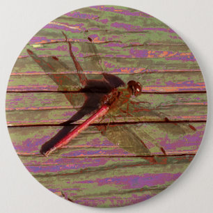 Chapa Redonda De 15 Cm Dragonfly Colorful