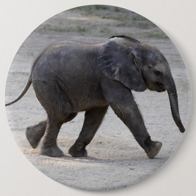 Chapa Redonda De 15 Cm Elefante Kibali, bebé dulce (Anverso)