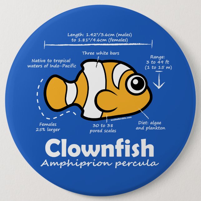 Chapa Redonda De 15 Cm Estadísticas de Clownfish (Anverso)