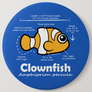 Chapa Redonda De 15 Cm Estadísticas de Clownfish
