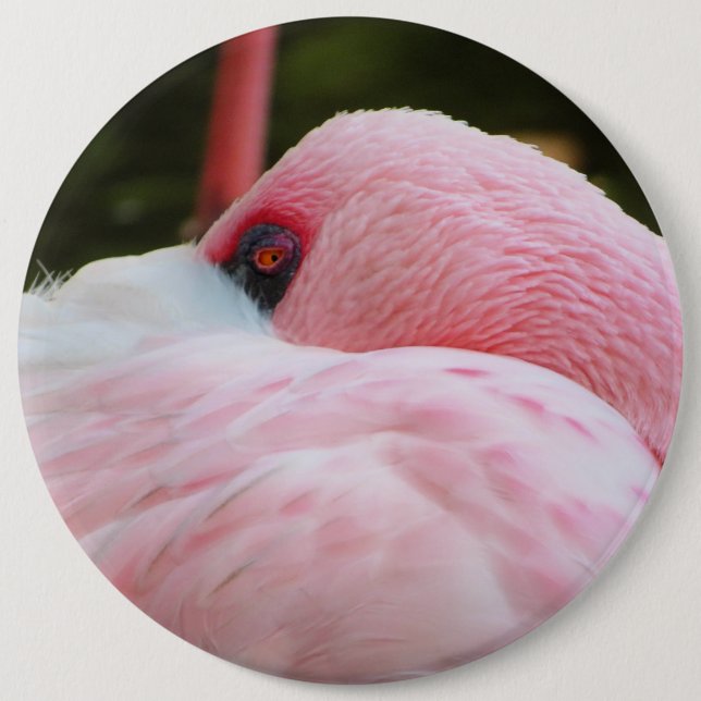 Chapa Redonda De 15 Cm Flamingo (Anverso)