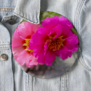 Chapa Redonda De 15 Cm Flores rosas al sol