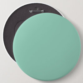 Chapa Redonda De 15 Cm Fondo verde menta sólido
