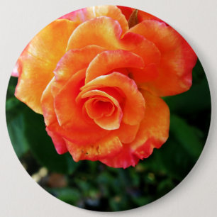 Chapa Redonda De 15 Cm Fotografía de rosa naranja vibrante