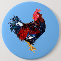 gallináceo macho ,rooster