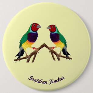 Chapa Redonda De 15 Cm ~ Gouldian Finch ~ Personalizado ~ ~