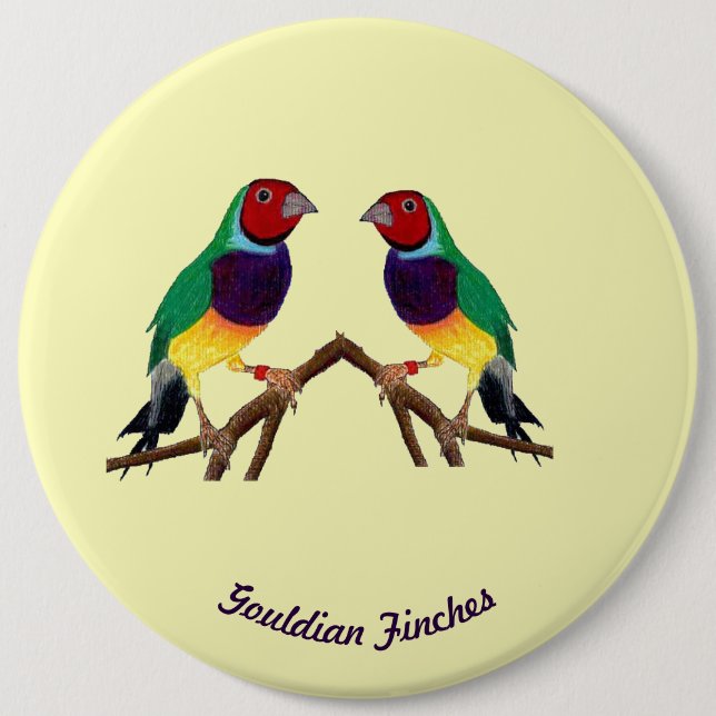 Chapa Redonda De 15 Cm ~ Gouldian Finch ~ Personalizado ~ ~ (Anverso)