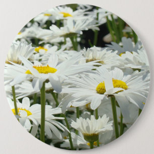 Chapa Redonda De 15 Cm Grandes flores de margarita blancas felices con bo