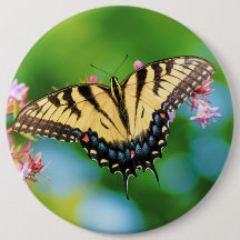 Hermosa mariposa de cola Swalloween sobre flores d