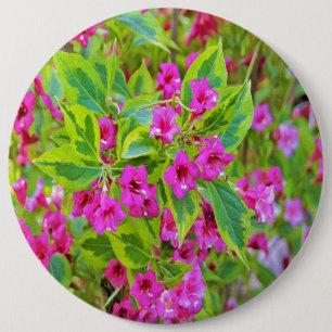 Chapa Redonda De 15 Cm Hermosa Weigela verde con flores de Crimson