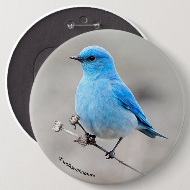 Chapa Redonda De 15 Cm Hermoso Bluebird (Anverso y reverso)