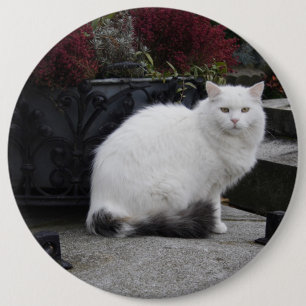 Chapa Redonda De 15 Cm Hermoso Gato Blanco En Una Tumba