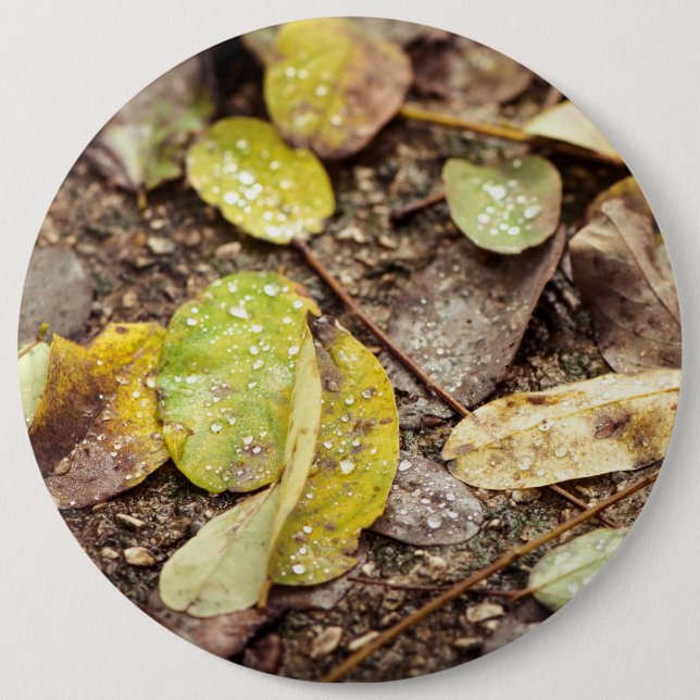 Chapa Redonda De 15 Cm Hojas de verano bajo las gotas de lluvia (Anverso)