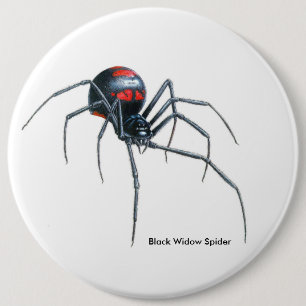 Chapa Redonda De 15 Cm Imagen de araña para la marca de redondeo colosal