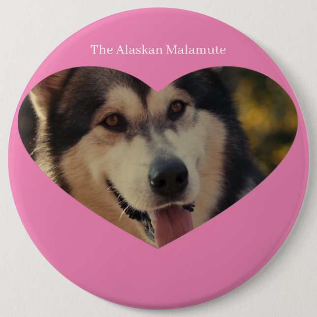 Chapa Redonda De 15 Cm Insignia (Anverso)