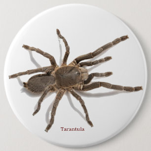 Chapa Redonda De 15 Cm Insignia