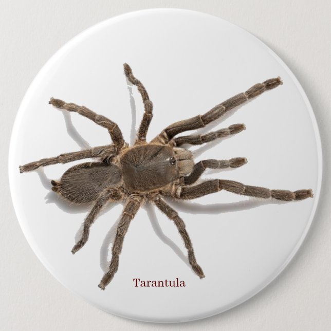 Chapa Redonda De 15 Cm Insignia (Anverso)
