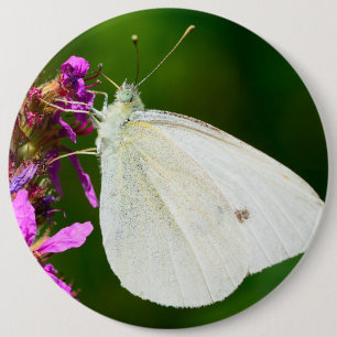 Chapa Redonda De 15 Cm Insignia con la mariposa