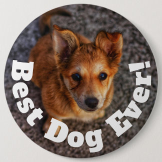 Chapa Redonda De 15 Cm Mejor Perro del Mundo
