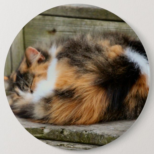 Chapa Redonda De 15 Cm Naptime (Anverso)