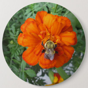 Chapa Redonda De 15 Cm Naranja Marigold Bee Flower