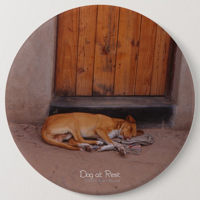 Chapa Redonda De 15 Cm Perro en reposo (Anverso)