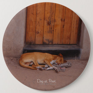 Chapa Redonda De 15 Cm Perro en reposo