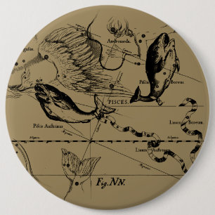 Chapa Redonda De 15 Cm Pisces Constellation Hevelius alrededor de 1690