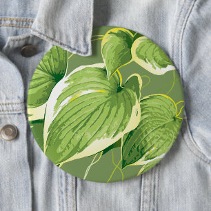 Chapa Redonda De 15 Cm Planta Ficus 5