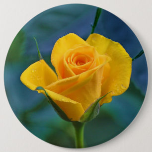 Chapa Redonda De 15 Cm Rosa amarillo hermoso