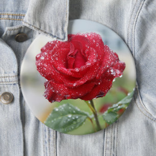 Chapa Redonda De 15 Cm Rosa en gotas de lluvia 