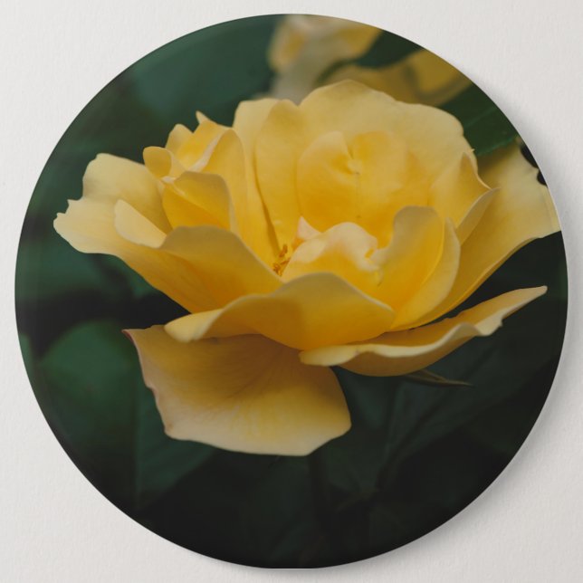 Chapa Redonda De 15 Cm Rosas amarillas (Anverso)