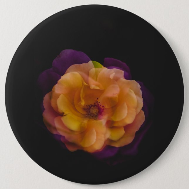 Chapa Redonda De 15 Cm Rosas (versión de doble exposición) (Anverso)