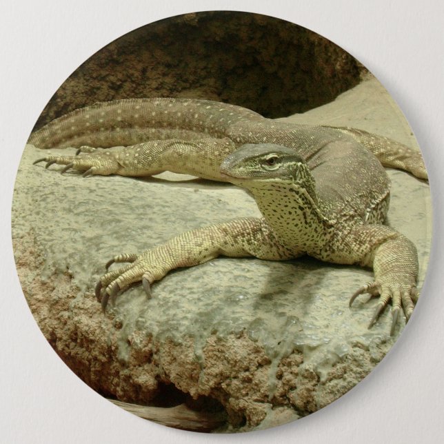 Chapa Redonda De 15 Cm Sand goanna (Anverso)