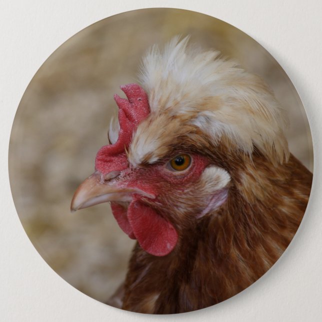 Chapa Redonda De 15 Cm Sultaler Hen (Anverso)