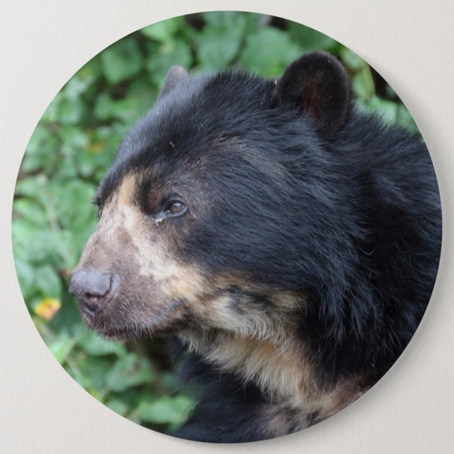 Chapa Redonda De 15 Cm Tremarctos ornatus (Anverso)