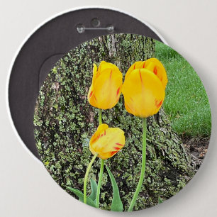 Chapa Redonda De 15 Cm Tres tulipanes amarillos /