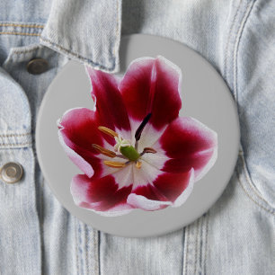 Chapa Redonda De 15 Cm Tulipán rojo profundo