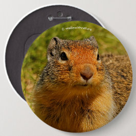 Chapa Redonda De 15 Cm Una ardilla de tierra colombiana de nariz inquieta