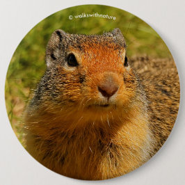 Chapa Redonda De 15 Cm Una ardilla de tierra colombiana de nariz inquieta