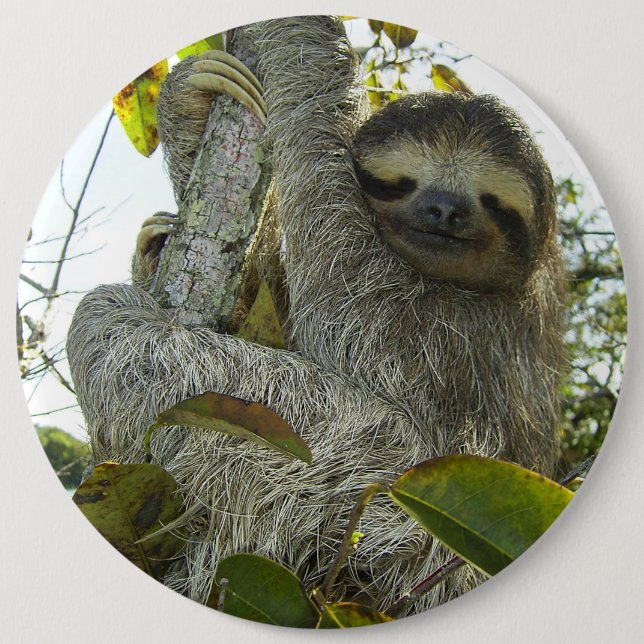 Chapa Redonda De 15 Cm Vivir como una eslovaca (Anverso)