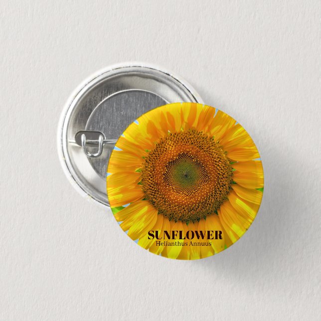 CHAPA REDONDA DE 2,5 CM ひ ま わ り (Anverso y reverso)