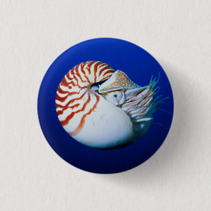 Chapa Redonda De 2,5 Cm Acercamiento Del Nautilus Encantado
