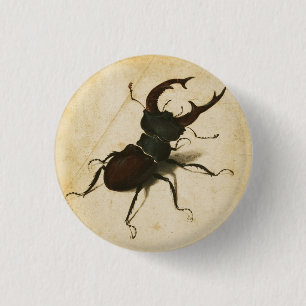 Chapa Redonda De 2,5 Cm Albrecht Durer Stag Beetle Arte de época renacenti