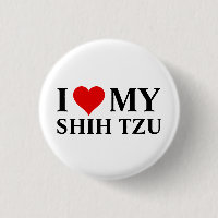 Amo a mi Shih Tzu