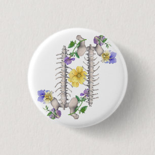 Chapa Redonda De 2,5 Cm Anatomía floral - Vértebras, hueso de la cadera