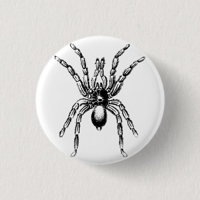 Chapa Redonda De 2,5 Cm araña tarántula (Anverso)