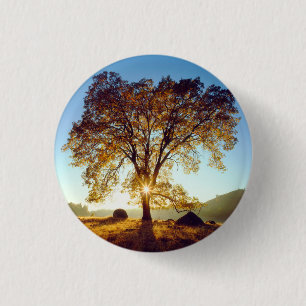 Chapa Redonda De 2,5 Cm Árboles de roble negro  Bosque Nacional Cleveland